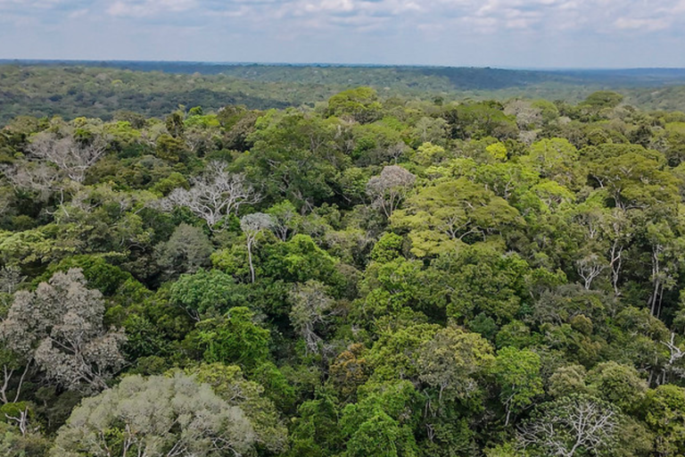 MCTI e CNPq abrem chamada de R$ 33,5 milhões para pesquisas na Amazônia Legal.png