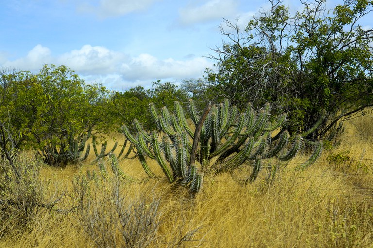 WhatsApp Image 2025-09-16 at 14.14.41.jpeg