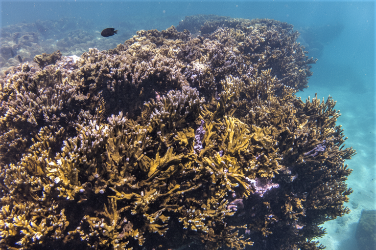 Design sem nome (73).png