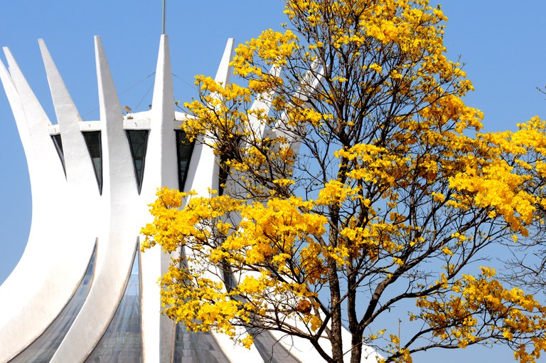 50290491828_f6a99b073e_o (1).jpg