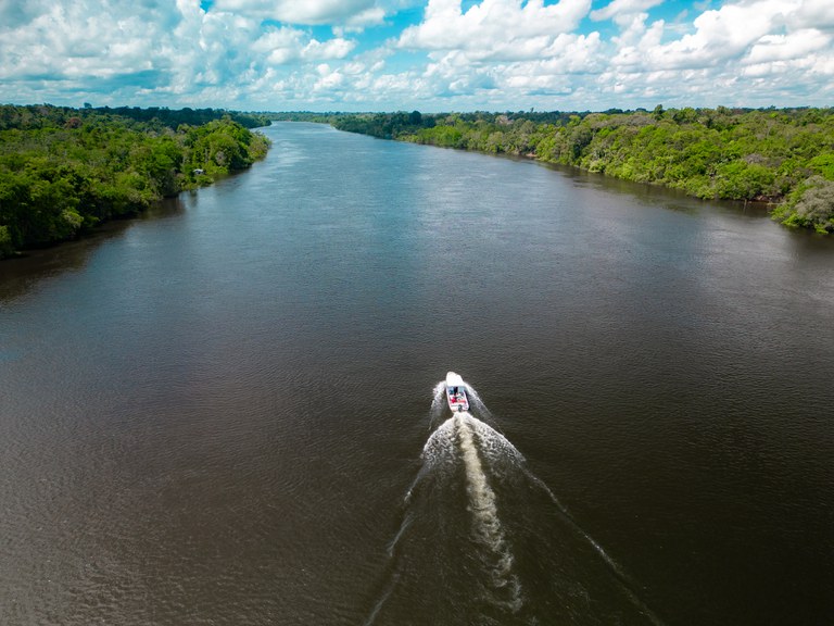 Relatório alerta sobre o futuro da floresta amazônica