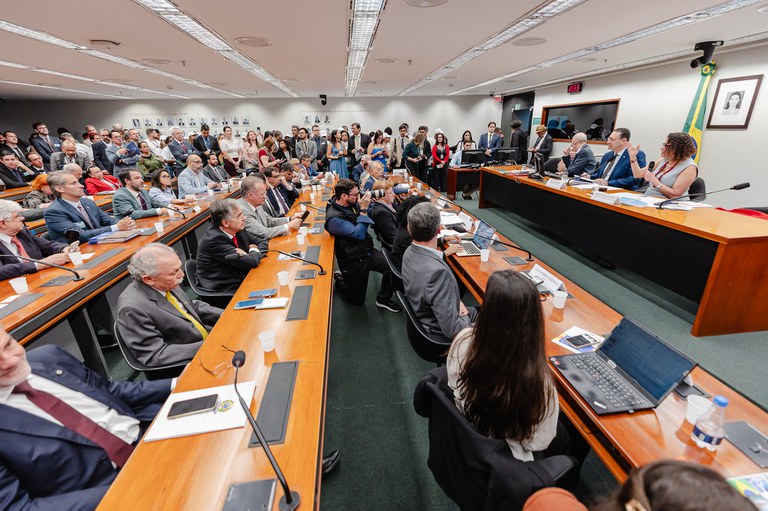 Luciana Santos fala a deputados sobre a necessidade de ampliar o orçamento para a ciência, tecnologia e inovação