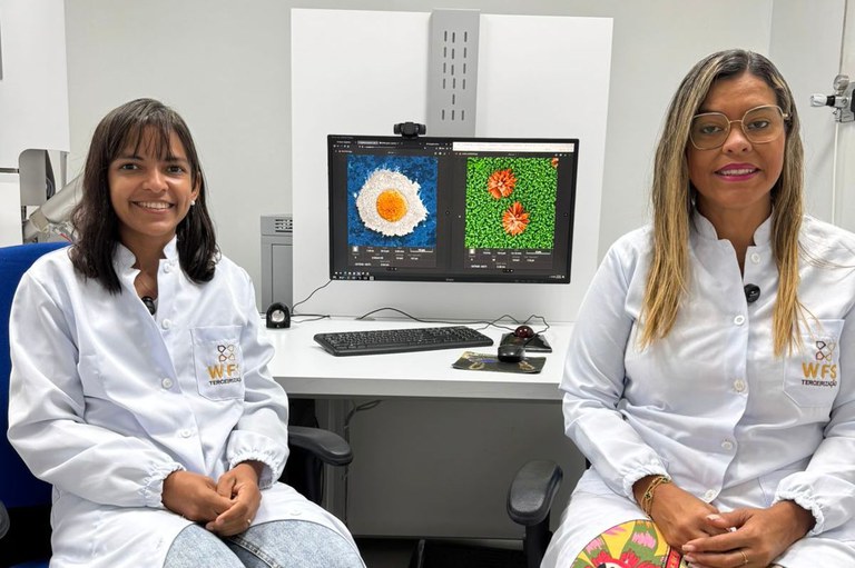 Duas imagens captadas por microscópios do Cetene ganham prêmio nacional