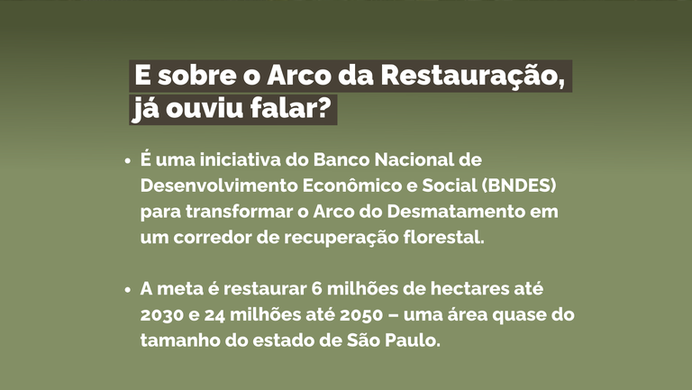 Museu Emílio Goeldi participa de projeto para restaurar reserva biológica no Maranhão 