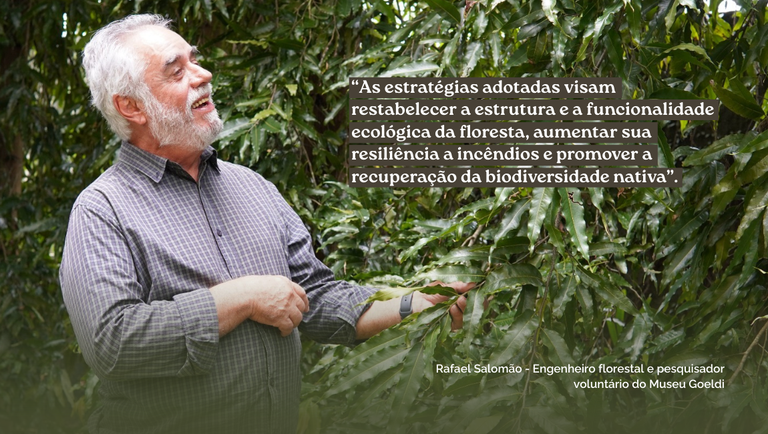 Museu Emílio Goeldi participa de projeto para restaurar reserva biológica no Maranhão 