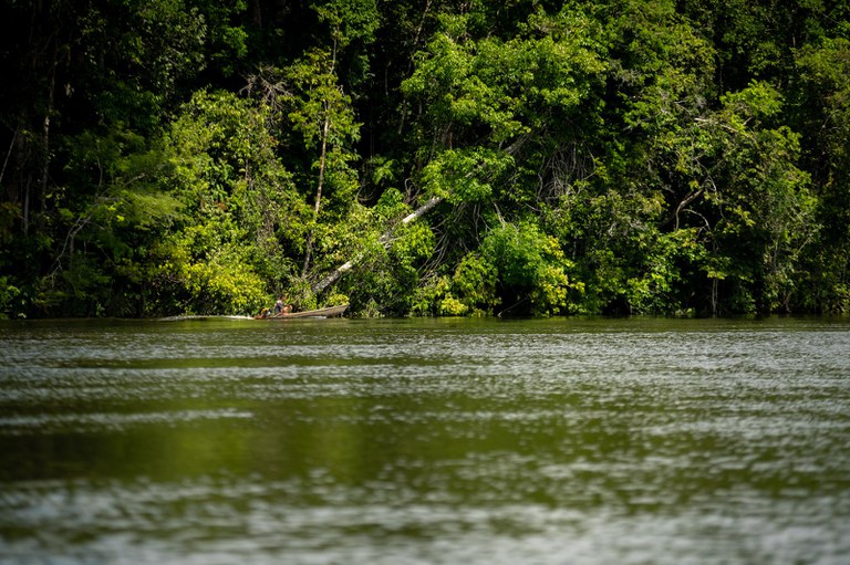 Cadastro para edital Pró-Amazônia 2025 pode ser feito até 30 de janeiro