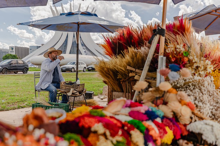 Calor extremo avança e reforça papel da ciência na proteção dos brasileiros