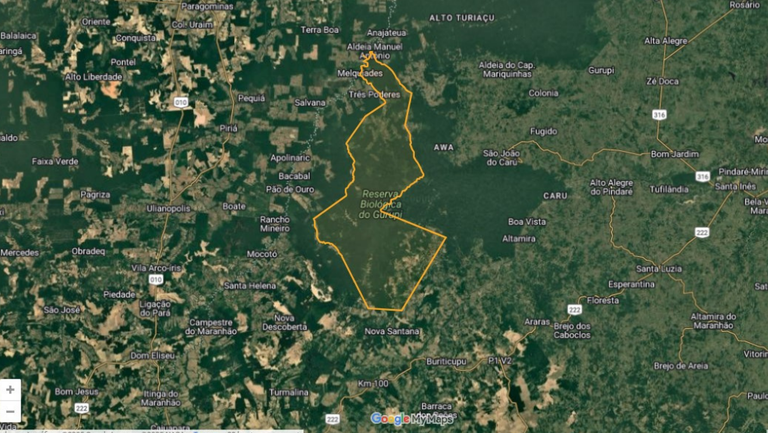 Museu Goeldi participa de projeto para restaurar unidade de conservação no Maranhão