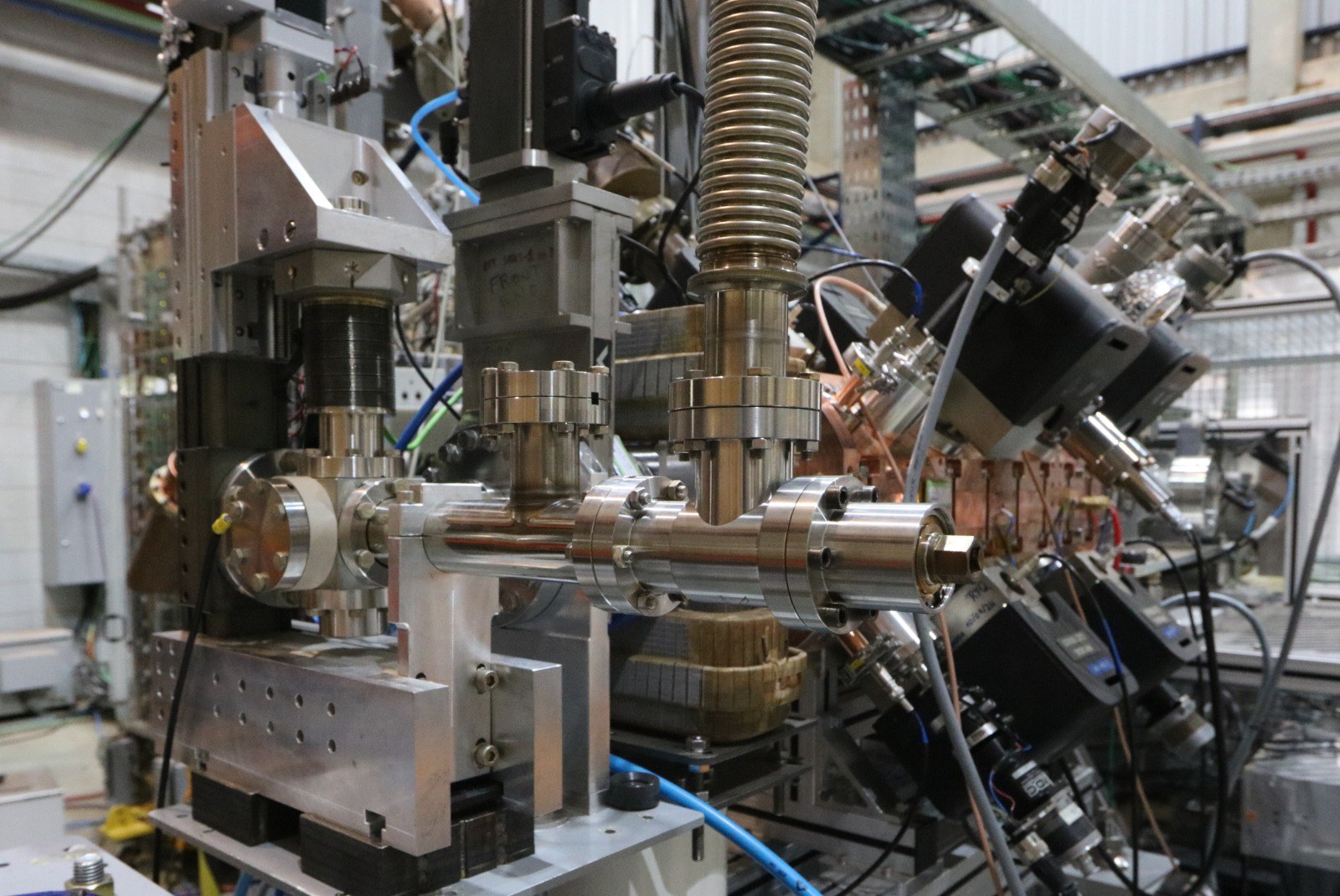 WhatsApp Image 2026-01-20 at 16.48.22.jpeg