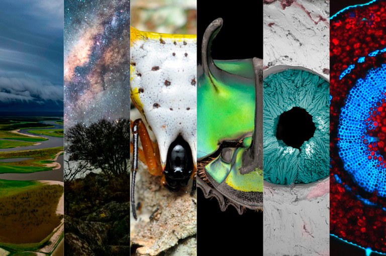 Prêmio Fotografia-Ciência & Arte: prazo para inscrição se encerra em 20 de fevereiro