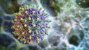 virus-nipah-e1769515319494.webp