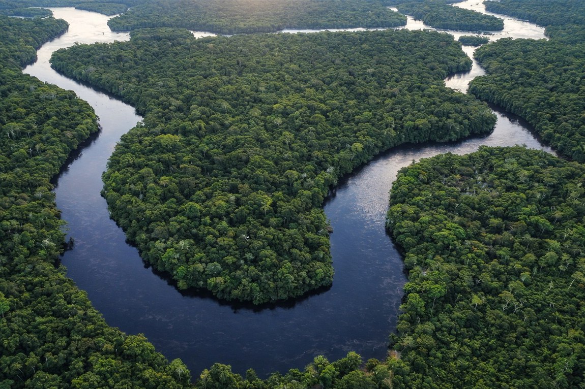 Documento é o capítulo de Impactos, Vulnerabilidade e Adaptação do Primeiro Relatório Bienal de Transparência, que apresenta panorama sobre a agenda no País