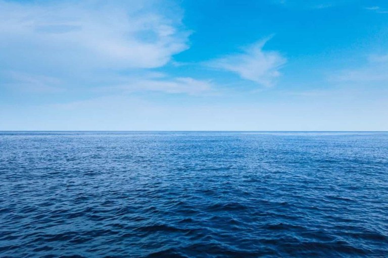 Tratado do Alto - Mar inaugura nova fase na proteção de 64% do oceano global