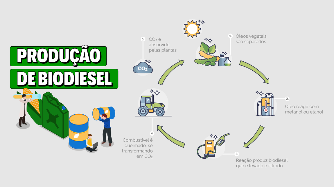 Produção de biodiesel 