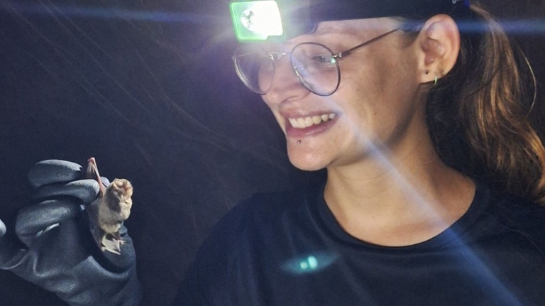 WhatsApp Image 2026-03-04 at 15.31.38.jpeg