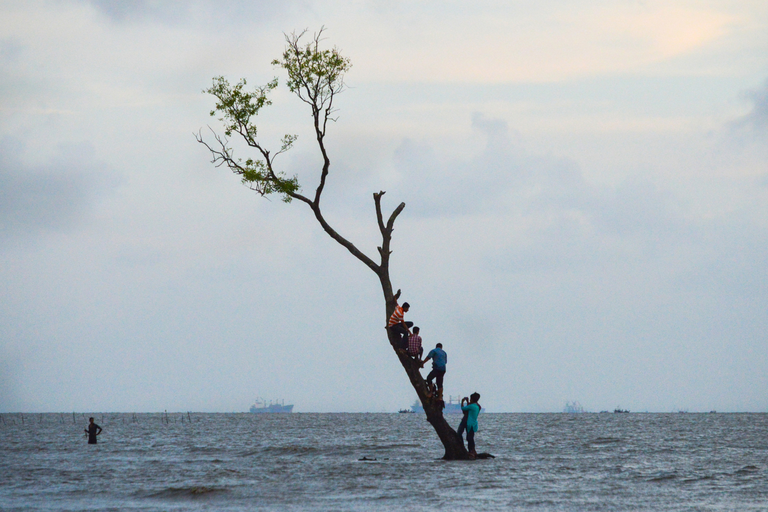 Concentração de dióxido de carbono na atmosfera é o mais alto dos últimos 800 mil anos.png
