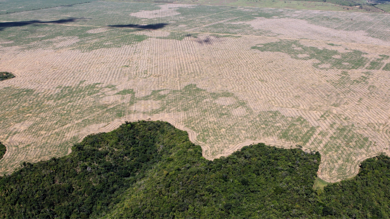 Museu Emílio Goeldi participa de projeto para restaurar reserva biológica no Maranhão