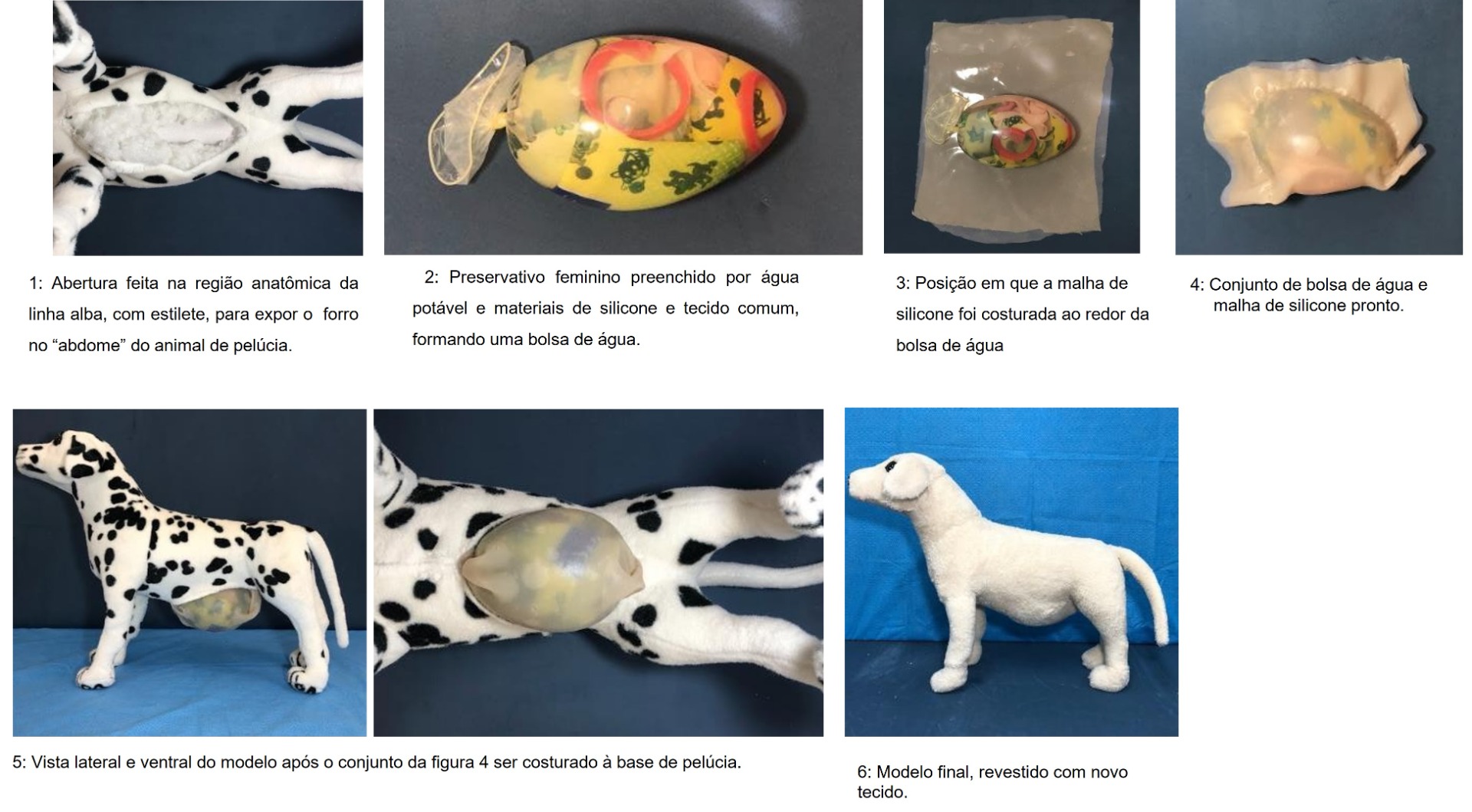 Figura 1 - construção do modelo de ascite para teste de balotamento.jpg