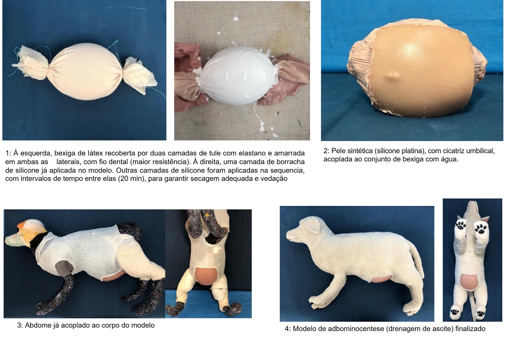 Figura 3 - construção do modelo de ascite para abdominocentese.jpg