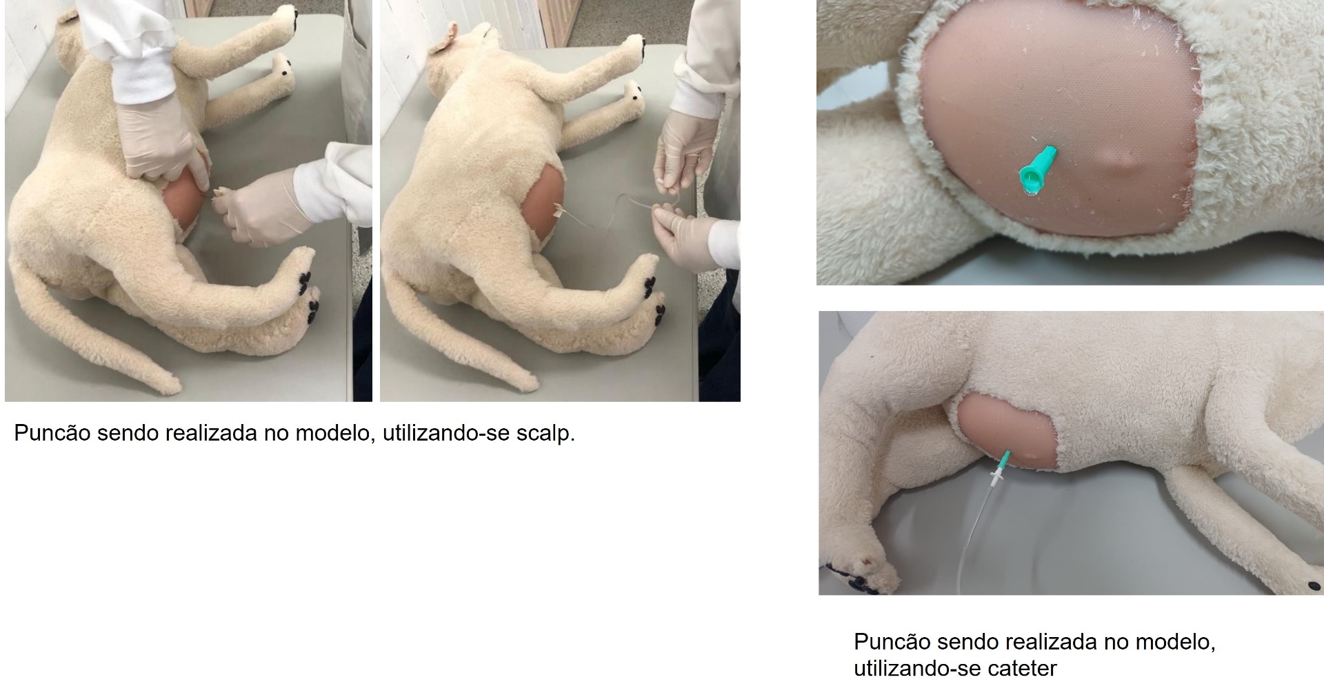 Figura 4 - utilizacao do modelo de abdominocentese.jpg