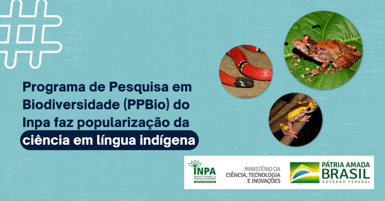 Banner: Thalita Bandeira.