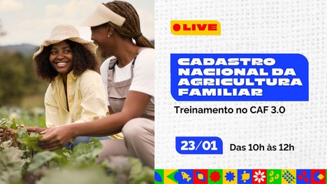 LINK: https://www.youtube.com/watch?v=mo2WiprHyqg&t=37s