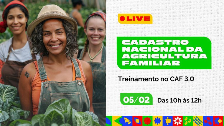 LINK: https://www.youtube.com/watch?v=RnRvtlmNEos&t=2s