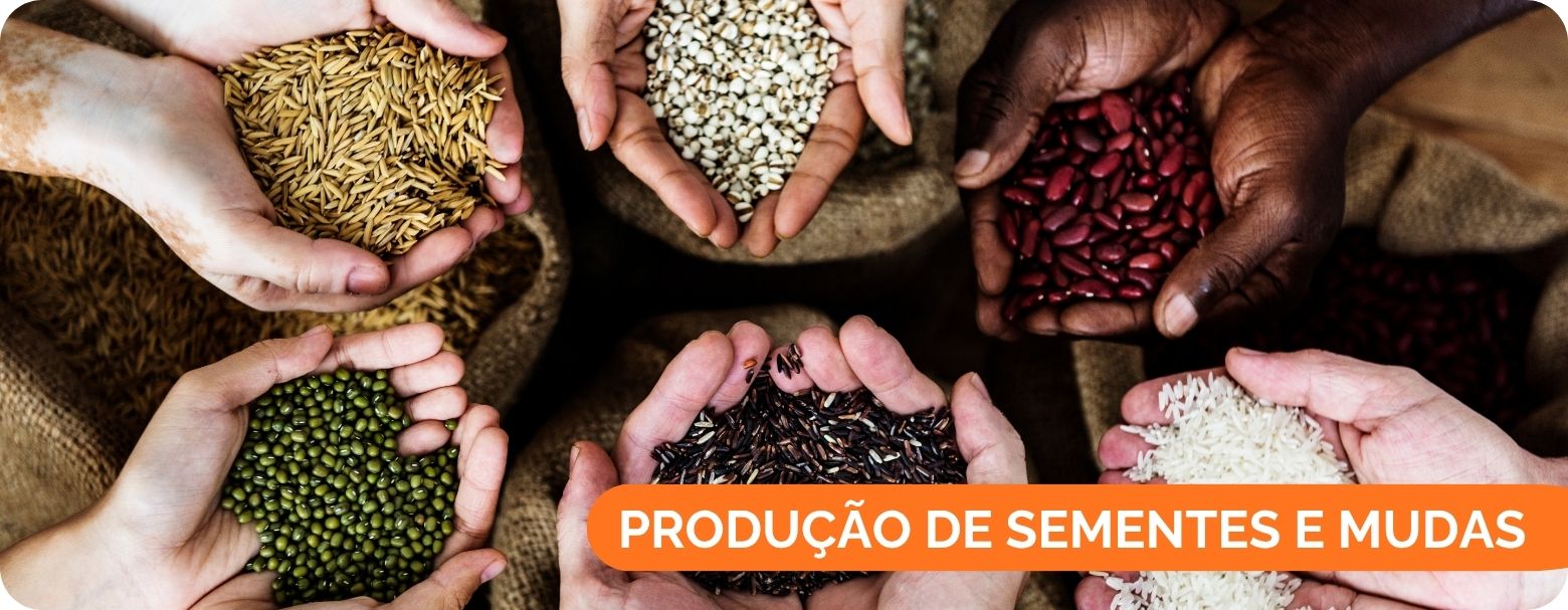 imagem de frutas e hortaliças