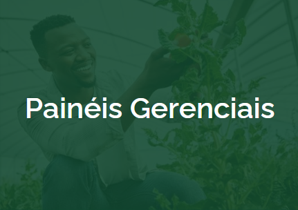 paineis gerenciais