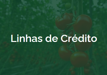 linhas de credito