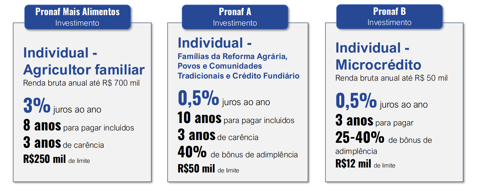 Produtor de leite - Acesso individual