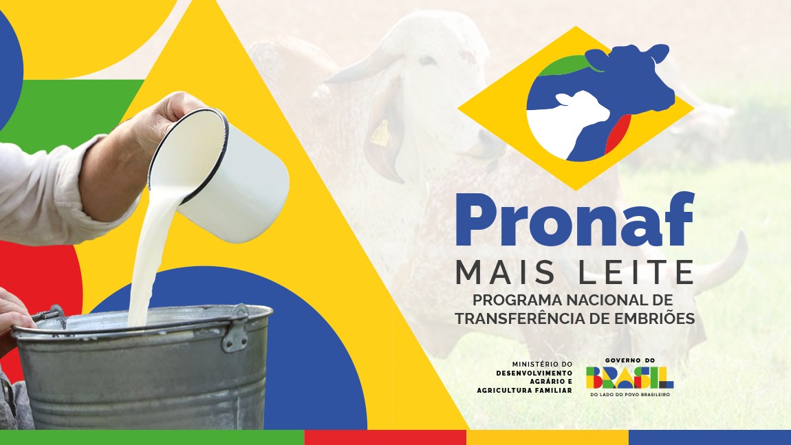 Logo - programa nacional de transferencia de embrioes