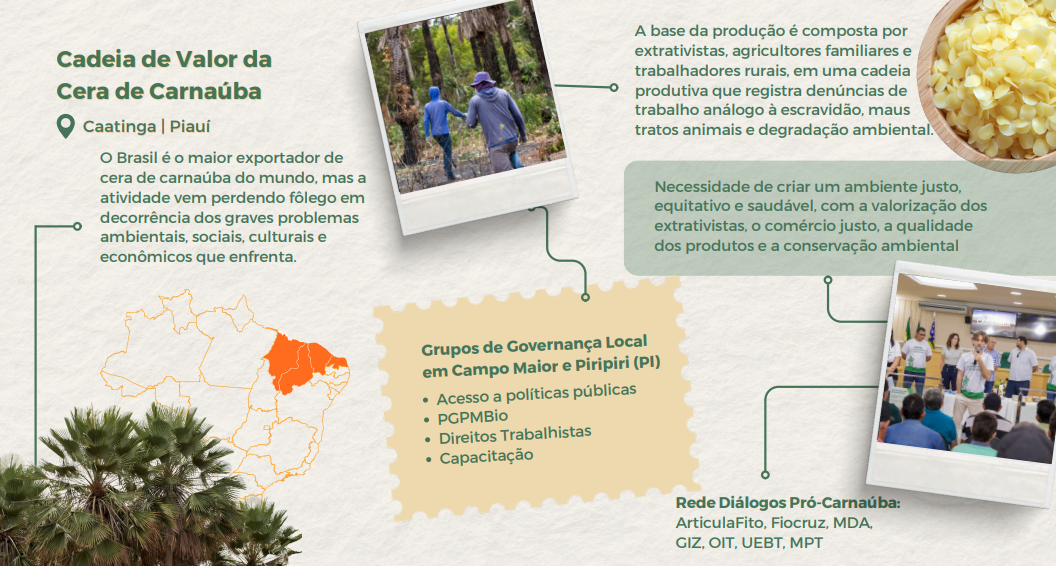 Cadeia de valor da cera de carnauba.png