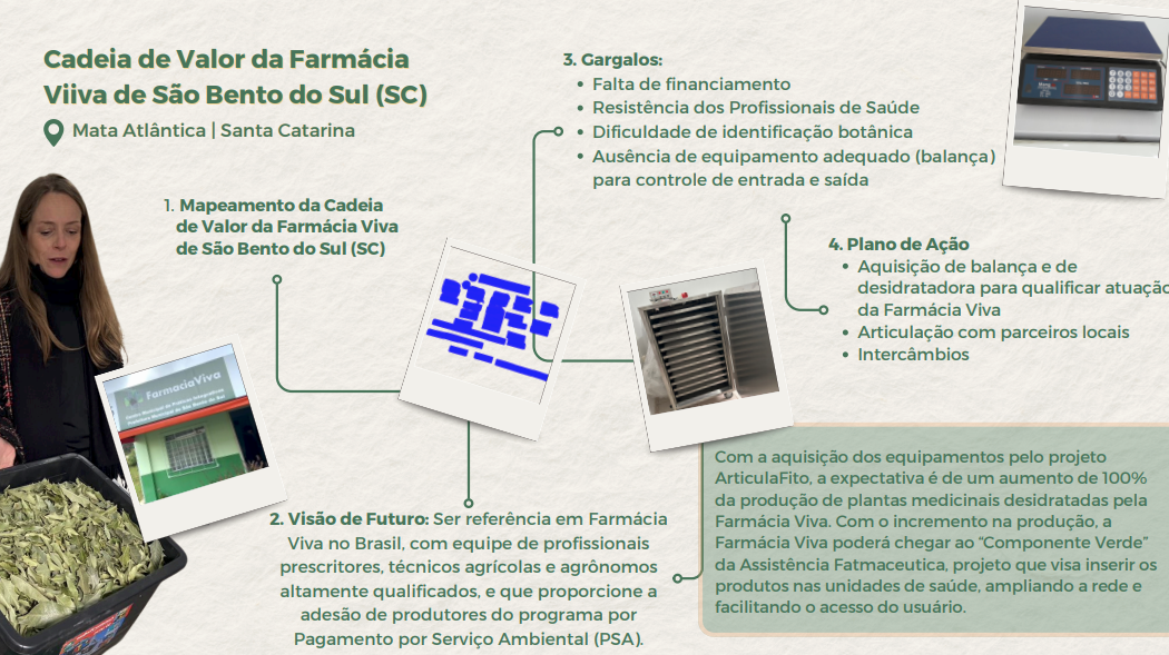 Cadeia de valor da farmacia viiva de sao bento do sul SC.png