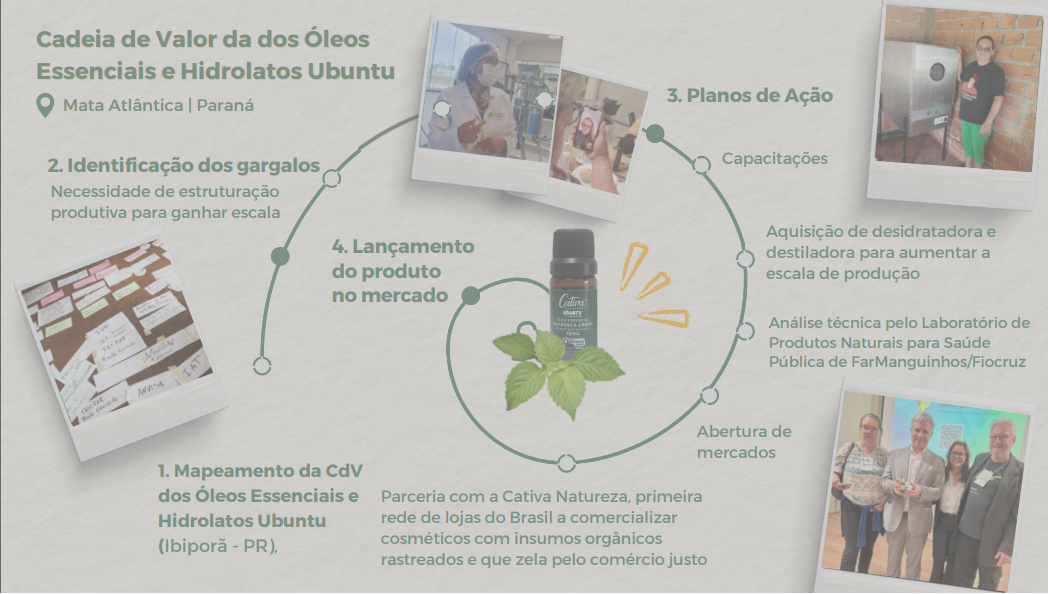 Cadeia de valor dos oleos essenciais e hidrolatos ubuntu.png