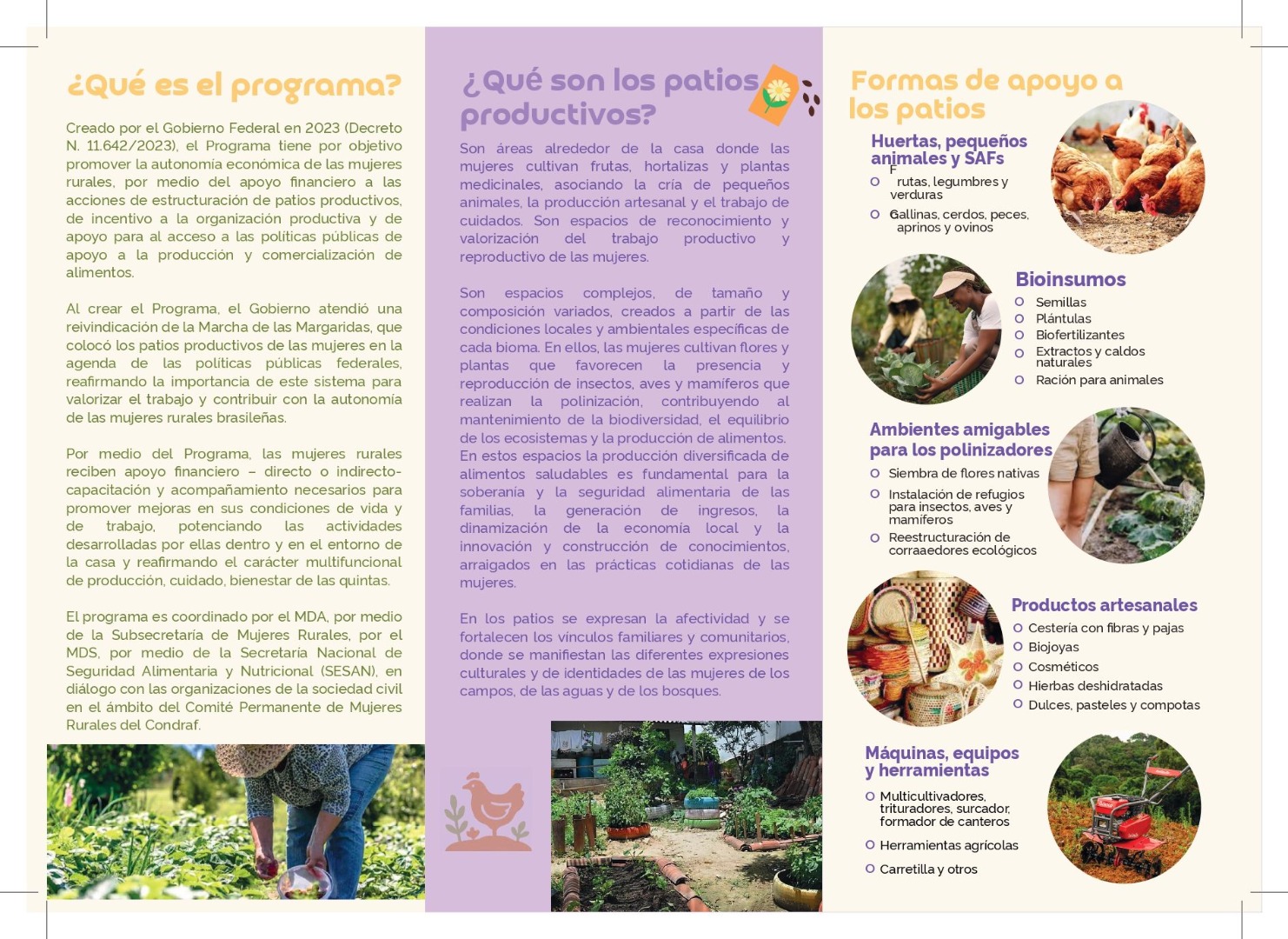 patios productivos página 2