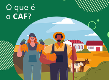2 - o que é o CAF