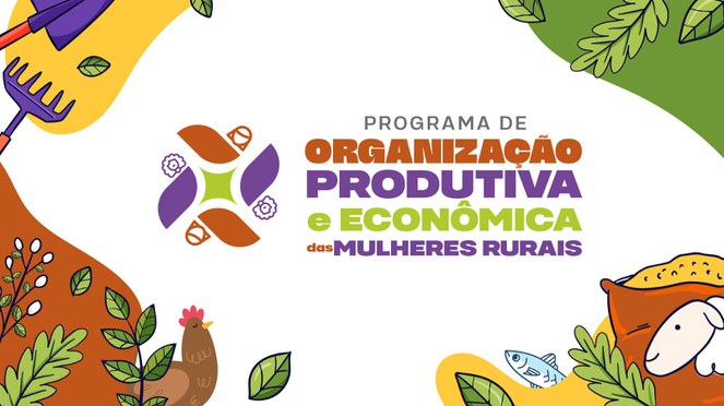Fortalecimento das Organizações Produtivas e Econômicas