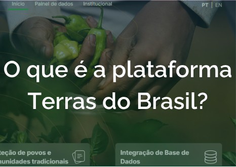 O que é a plataforma terras do brasil?