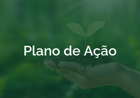 plano de ação