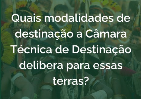 Quais modalidades de destinação a Câmara Técnica de Destinação delibera para essas terras?