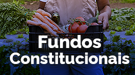 Fundos Constitucionais