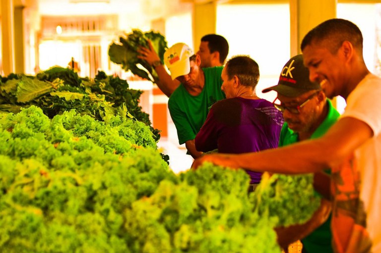 Foto: Maksuel Martins/GEA