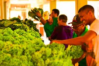 Amapá realiza etapa estadual da 3ª Conferência Nacional de Desenvolvimento Rural Sustentável e Solidário