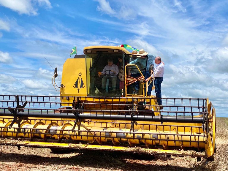 Primeira colheita de soja livre de transgênicos - Foto: Adriana Rodrigues (MDA)