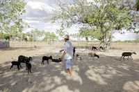 MDA autoriza o pagamento do Garantia-Safra para mais de 80 mil agricultores familiares em abril