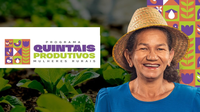 Chamamento Público nº 01/2023 - Quintais Produtivos para Mulheres Rurais