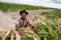 Governo Federal vai levar assistência técnica para mais 5,5 mil famílias de agricultores do semiárido brasileiro