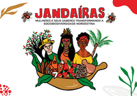 Mulheres e Saberes Tradicionais Transformando a Sociobiodiversidade Nordestina