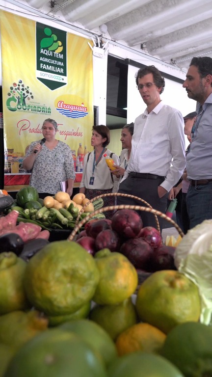 MDA TE EXPLICA v2.00_17_25_01.Quadro004.png